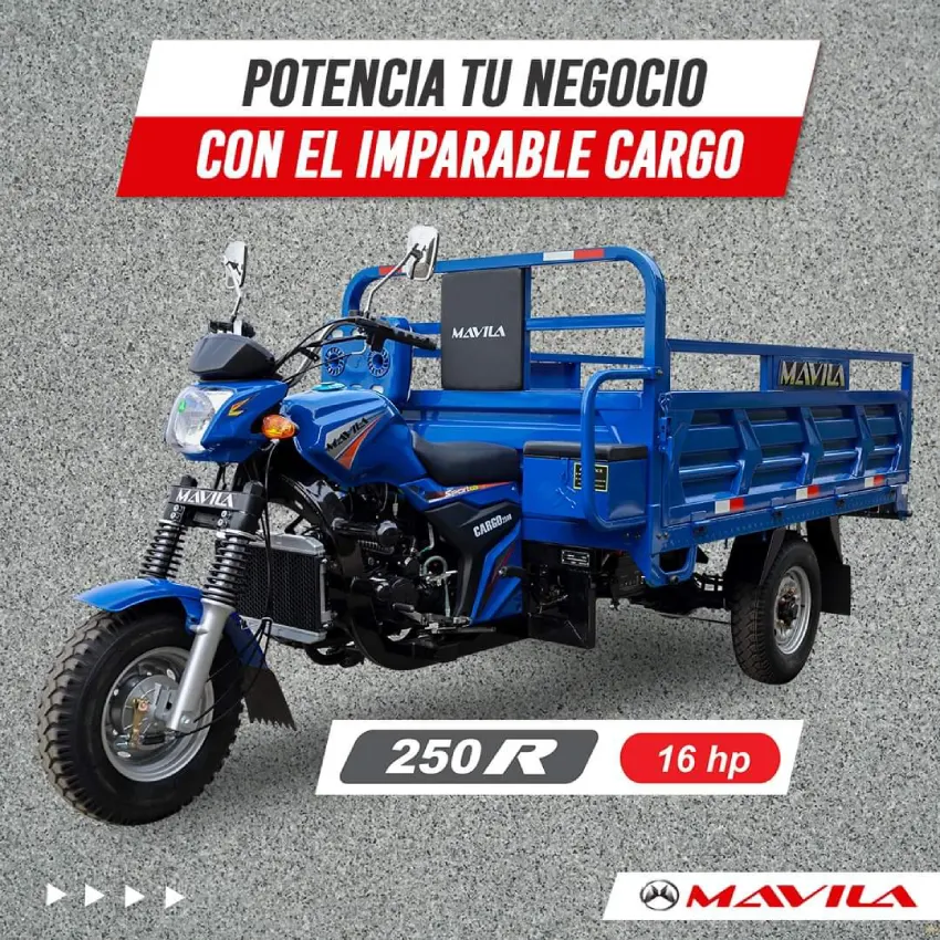 Cargo 250 R